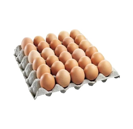 ORGANIC MEDIUM EGGS