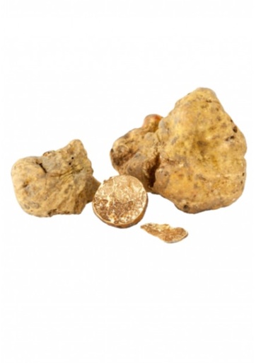 ALBA WHITE TRUFFLE