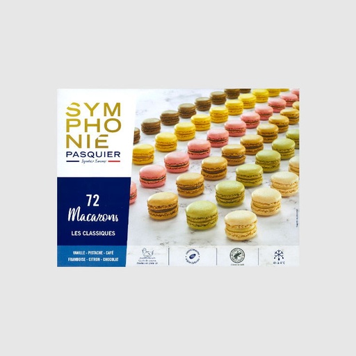 ASSORTED MACAROON 10 G (72P)