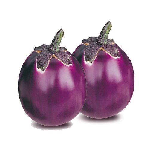 EGGPLANT USA