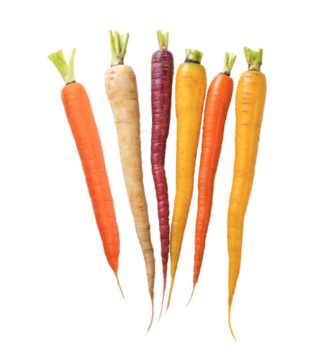 BABY CARROT MULTICOLOUR