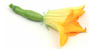 BABY ZUCCHINI FLOWER