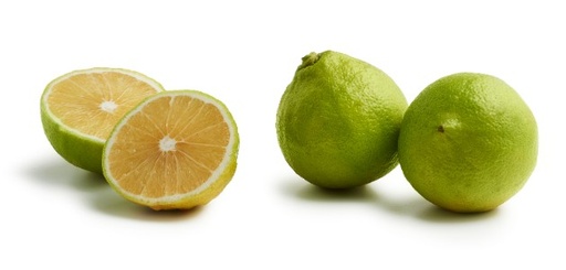 BERGAMOT