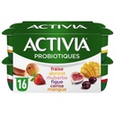 YOGHURT FRUITS BIFIDUS (ACTIVIA)