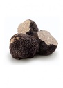 BLACK SUMMER TRUFFLE - TUBER AESTIVUM