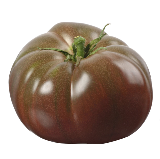 TOMATO BLACK 