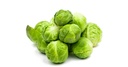 BRUSSELS SPROUTS