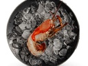 [Homard Canada 300gr sous glace] CANADIAN LOBSTER FROZEN (COFRAGEL)