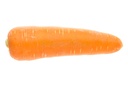 CARROT LARGE