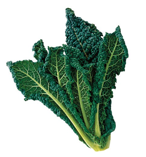 CAVOLO NERO