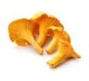 MUSHROOM CHANTERELLE