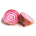 BEETROOT CHIOGGIA 