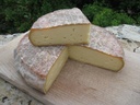 COW CHEESE ST NECTAIRE