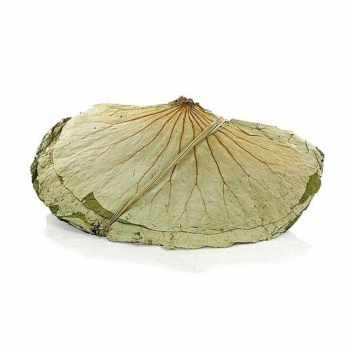 [17322] LOTUS LEAVES DRIED WHOLE (NBH)