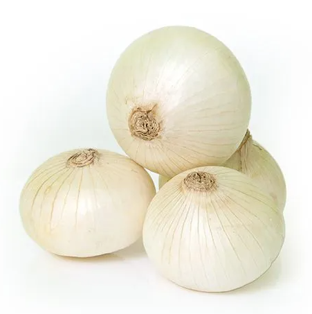 ONION WHITE 