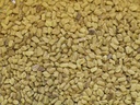 [FENU50S] FENUGREEK SEEDS (PLACE DES EPICES)