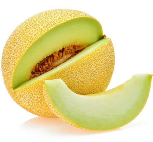 MELON GALIA 