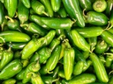 JALAPENO GREEN 