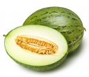 MELON GREEN 