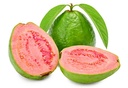 GUAVA