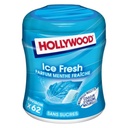 CHEWING GUM ICE FRESH SUGAR FREE (HOLLYWOOD)