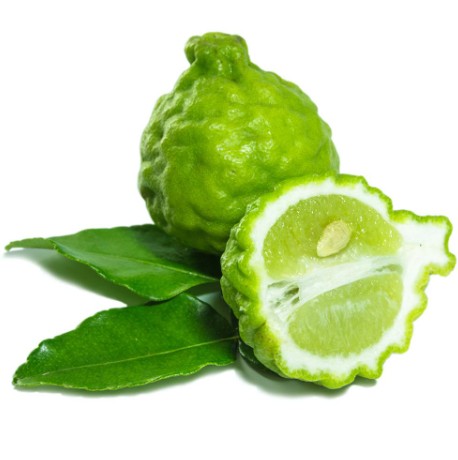 KAFFIR LIME