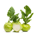 KOHLRABI