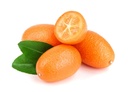 KUMQUAT