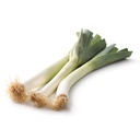 LEEK