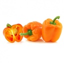 PEPPER ORANGE 