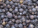 [BAGEN50S] ORGANIC JUNIPER BERRY (PLACE DES EPICES)