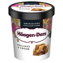 [245122] PRALINE AND CREAM ICE CREAM (HAAGEN DAZS)