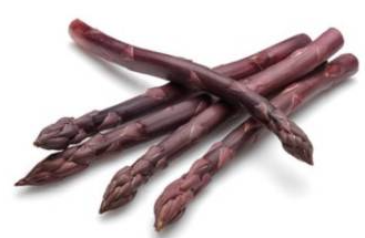 ASPARAGUS PURPLE 