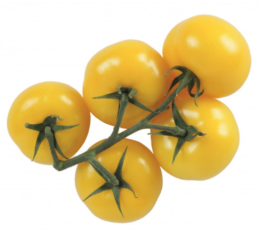 TOMATO CHERRY YELLOW ON VINE