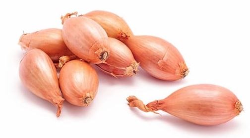 SHALLOT