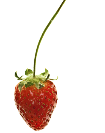 STRAWBERRIES WITH STEM