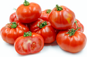 TOMATO MARMANDE