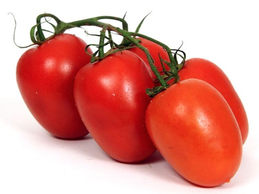 TOMATO PLUM