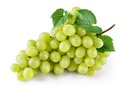 GRAPES GREEN