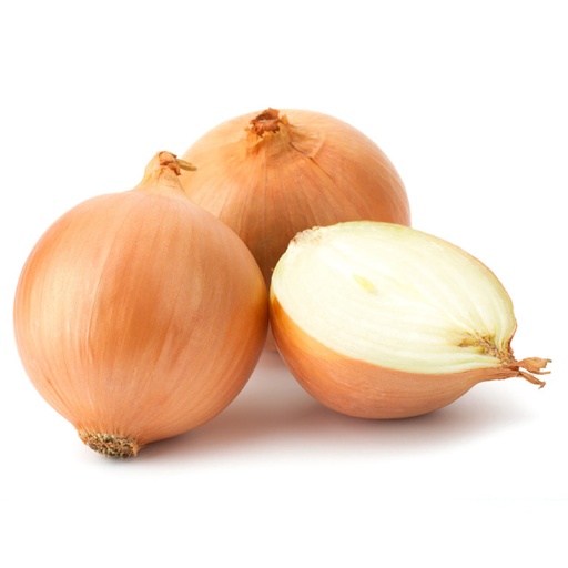 ONION YELLOW 