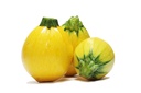 ZUCCHINI ROUND YELLOW