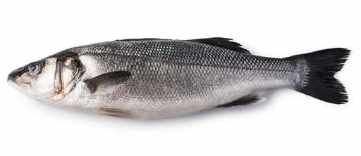 SEA BASS FARMED WHOLE