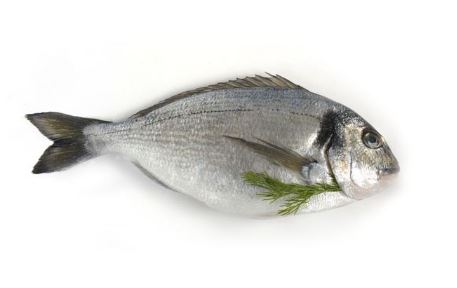 SEA BREAM WILD WHOLE