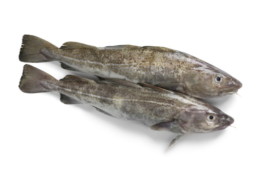 COD WHOLE