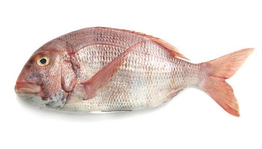 REDBANDED SEA BREAM WHOLE