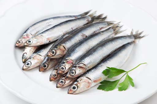 ANCHOVY WHOLE