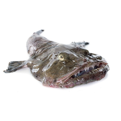 MONKFISH WHOLE