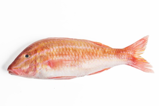 RED MULLET WHOLE