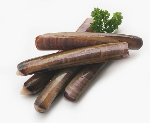 RAZOR CLAM