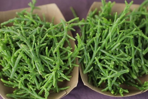 SAMPHIRE